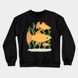 platy fish Crewneck Sweatshirt